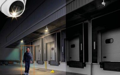 AI Cameras with Dual Light Capabilities